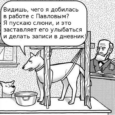 Собака выработала у Павлова рефлекс. 