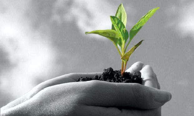 Паническое расстройство можно вылечить быстро