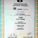 Сертификаты по EMDR (обучение у Уди Орена)